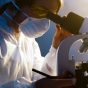 Reasons Why You Should Consider a Concierge Medicine