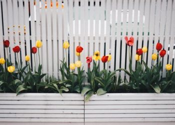 Top 5 Considerations to Make Before Building Your Own Fence