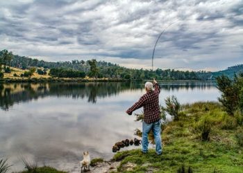 Approaches That Can Assist a Fishing Novice