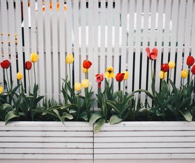 Top 5 Considerations to Make Before Building Your Own Fence