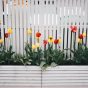 Top 5 Considerations to Make Before Building Your Own Fence