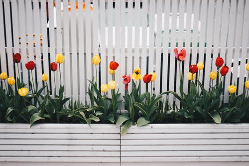 Top 5 Considerations to Make Before Building Your Own Fence