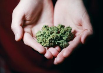 Cannabis at Your Doorstep: The Pros of Delivery Services
