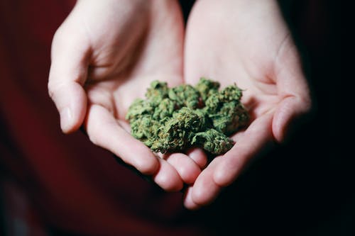 Cannabis at Your Doorstep: The Pros of Delivery Services