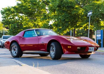 Choosing the Right Shelby Cobra for You