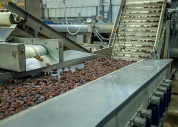 Why Custom Food Processing Machines are the Future of the Food Industry