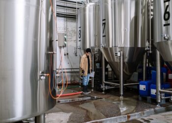 What Makes the Beer Brewing Process Unique and Intriguing?