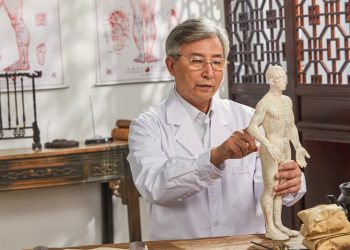 Overcoming the Challenges of Traditional Chinese Medicine Education
