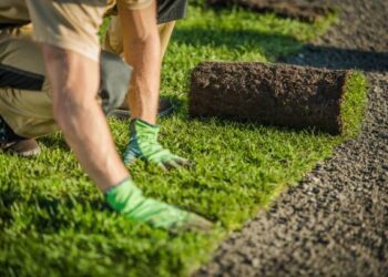 Time-Saving Tips for Maintaining Your Landscape