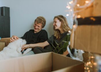 How to Make Moving with Pets Less Stressful (Cats and Dogs)